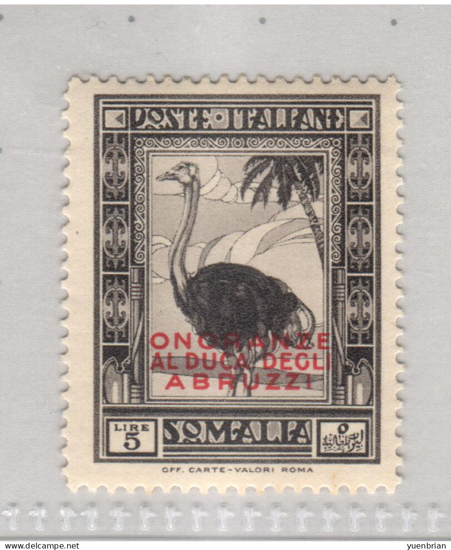 Somalia 1934, Bird, Birds, 5li Ostrich, Overprinted "ONORANZE AL DUCA DEGLI ABRUZZI", MH* - Ostriches