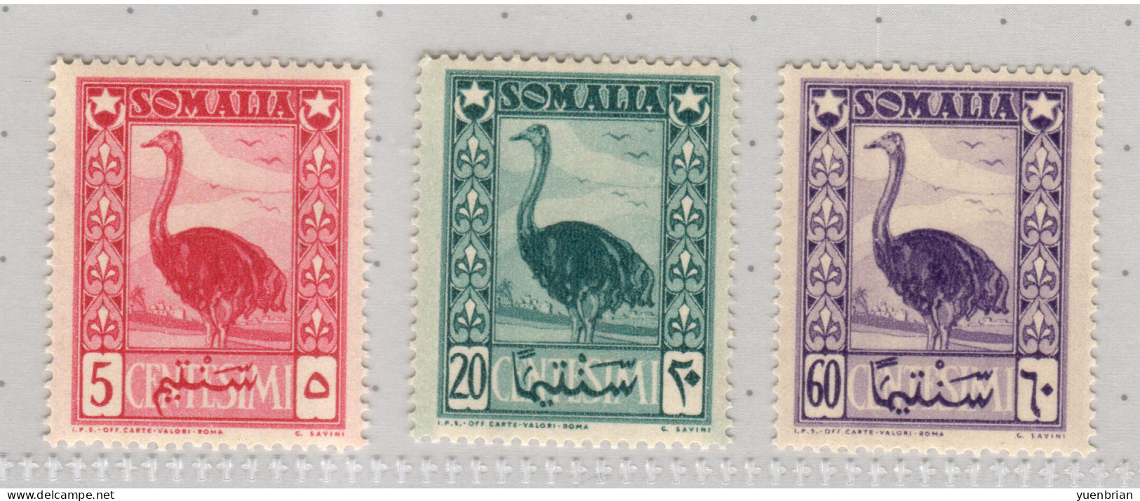 Somalia 1950, Bird, Birds, Ostrich, MNH**, Good Condition - Struzzi