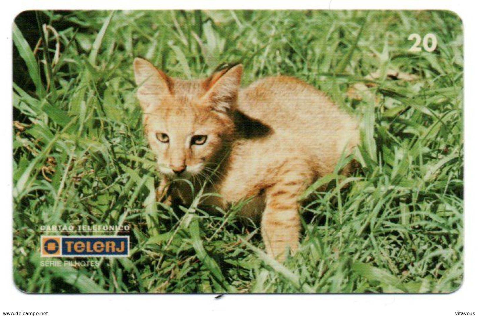 Chat Cat Katze Télécarte Brésil Phonecard ( 1132) - Brasilien