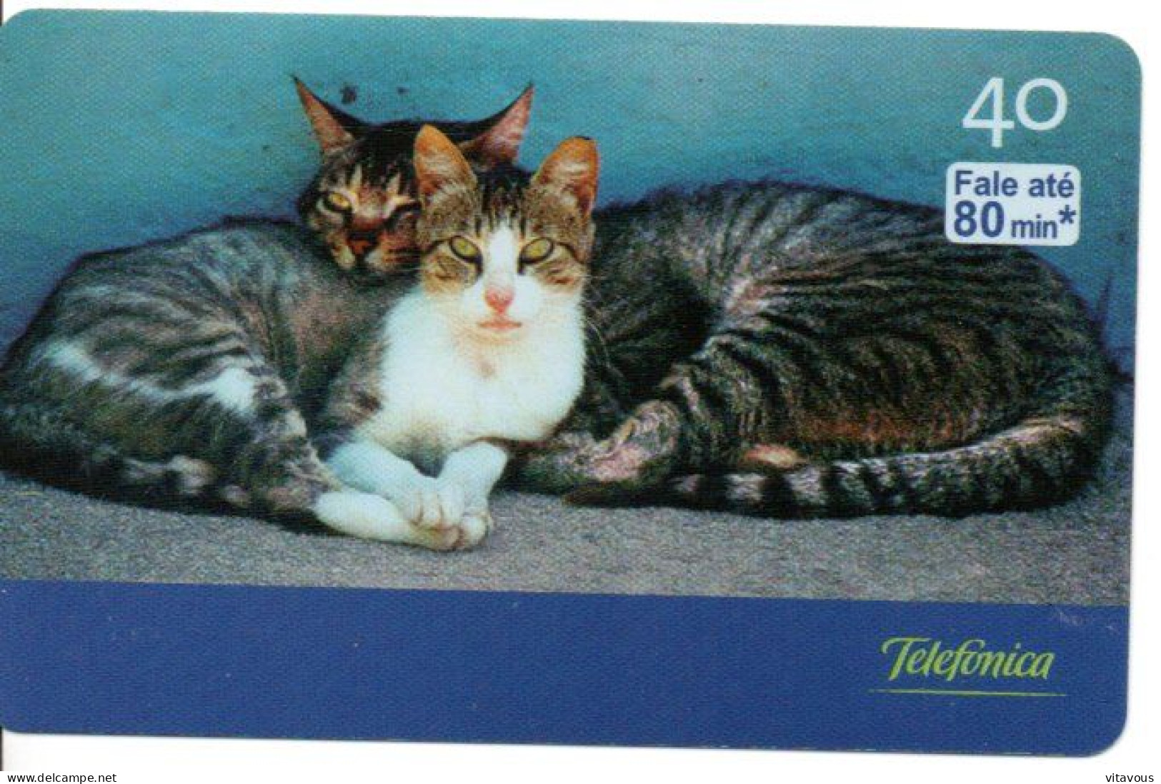 Chat Cat Katze Télécarte Brésil Phonecard ( 1135) - Brasilien