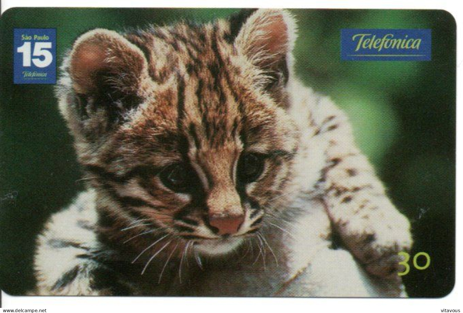 Léopard Chat Cat Katze Télécarte Brésil Phonecard ( 1136) - Brasilien