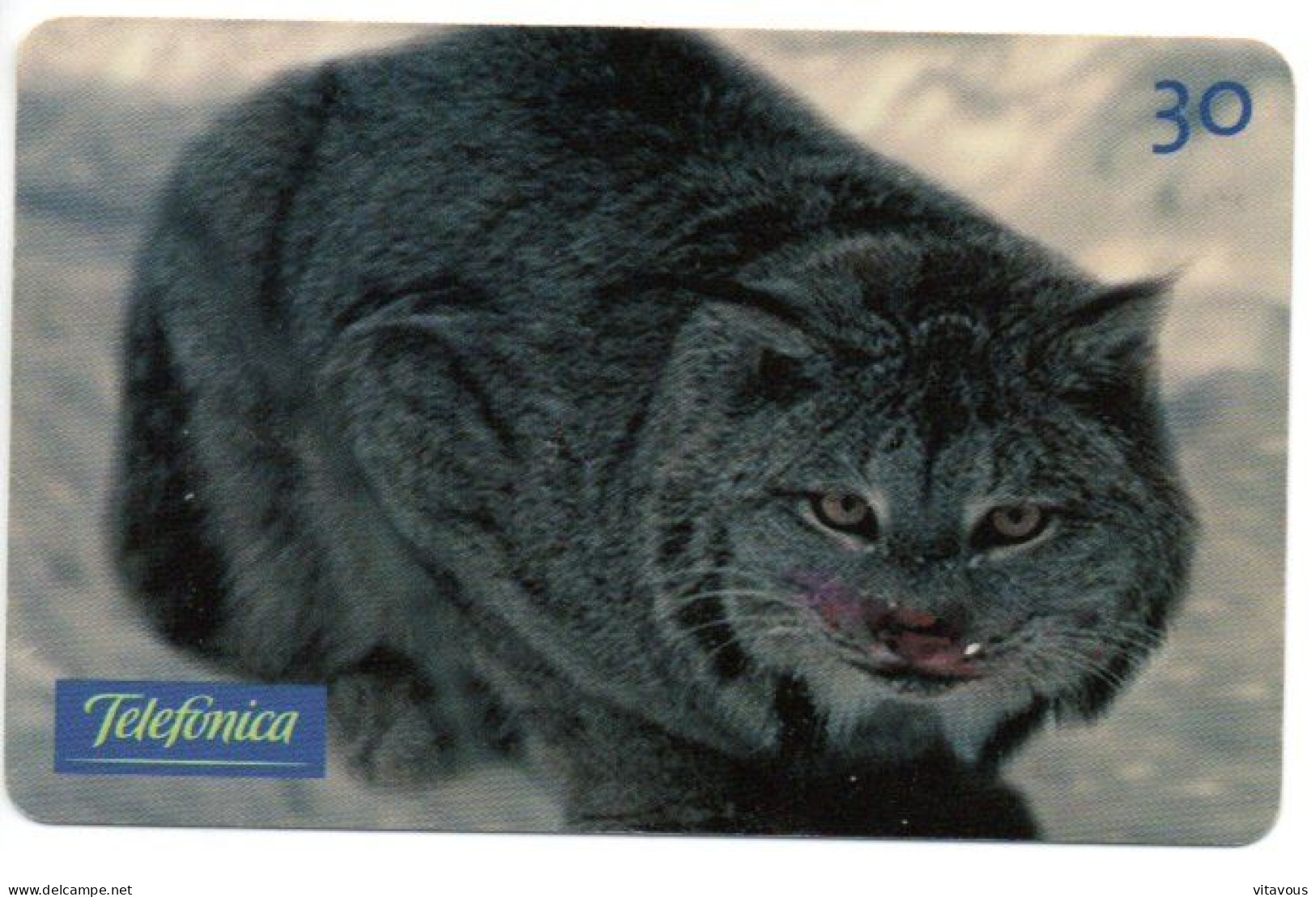 Chat Cat Katze Télécarte Brésil Phonecard ( 1137) - Brasilien