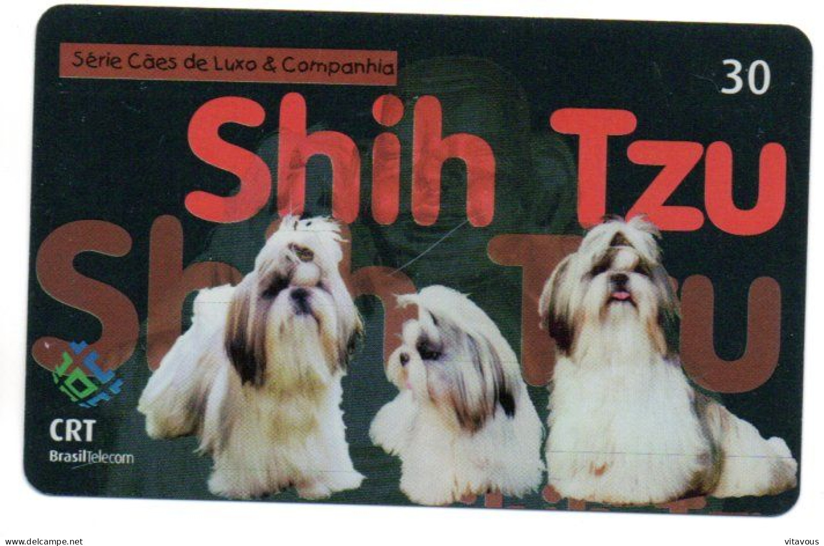 Chien Dog Télécarte Brésil Phonecard ( 1140) - Brasilien