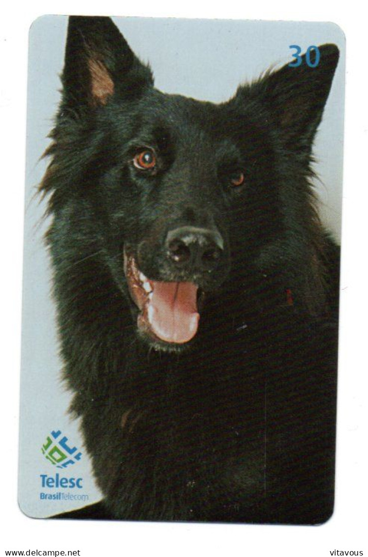 Berger Belge Chien Dog Télécarte Brésil Phonecard ( 1142) - Brasilien