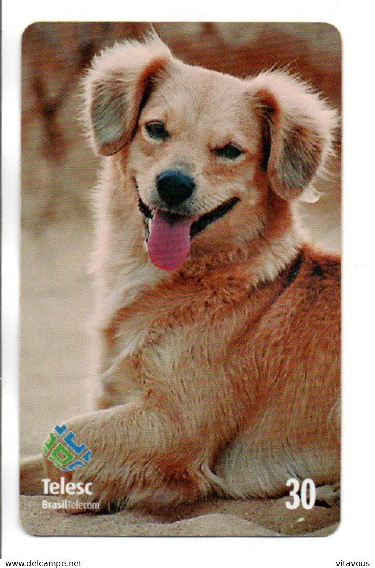 Chien Dog  Télécarte Brésil Phonecard ( 1145) - Brasilien