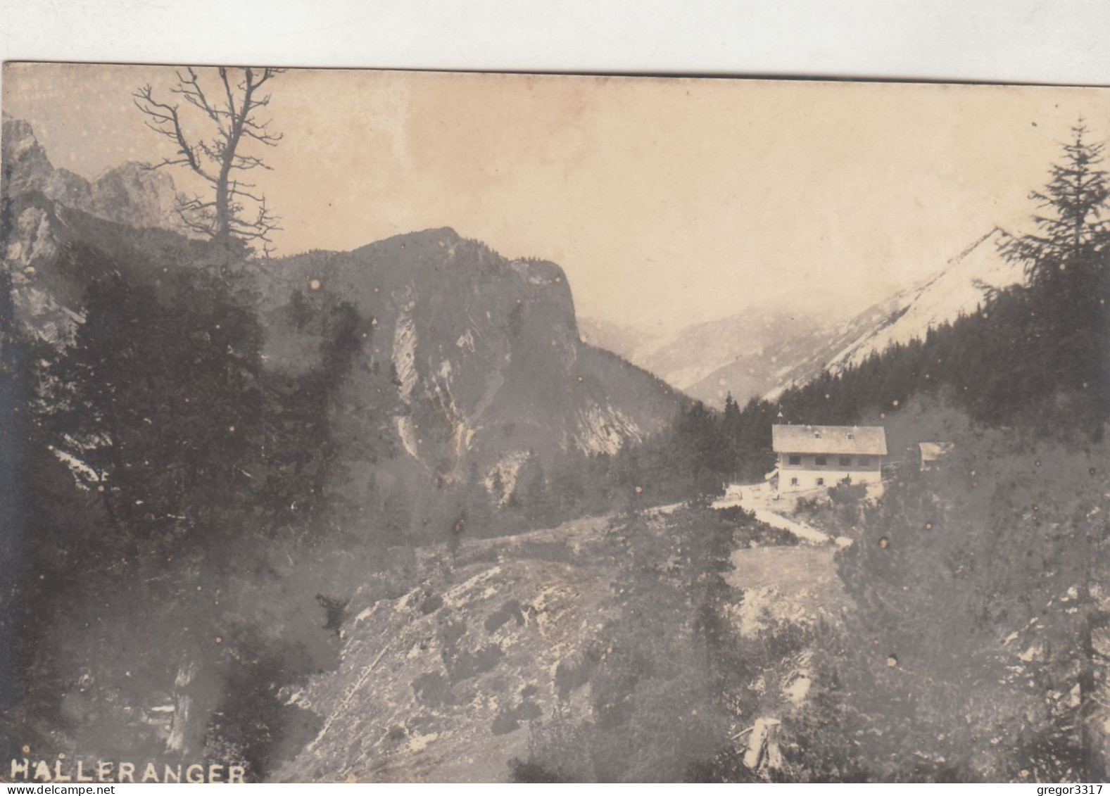 D5814) HALL In TIROL  - Halleranger - FOTO AK - Riepenhausen 1910 - Hall In Tirol