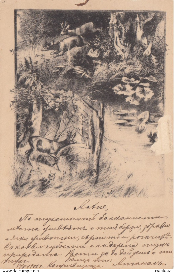Post Card/ Small Lion/ From Koprivstica To Svishtov  / Mi:31A /Bulgaria 1889 - Covers & Documents