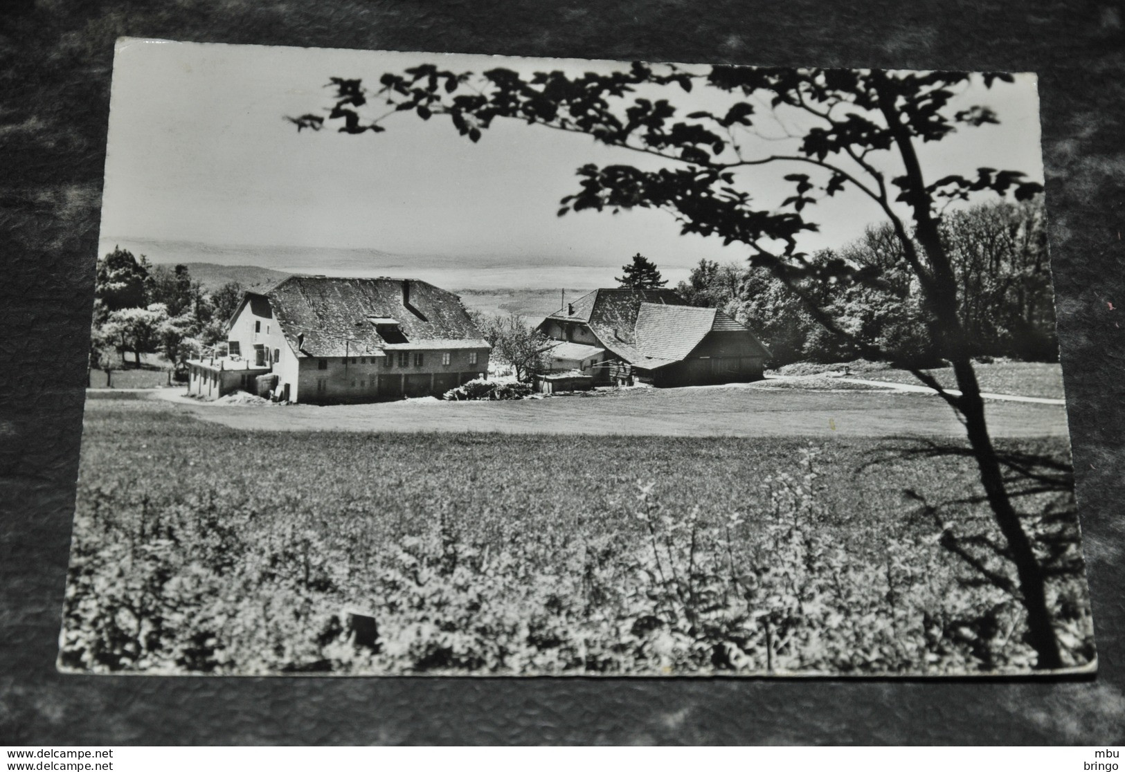 A530   La Neuveville   Maison De Vacances Champfahy   1961 - La Neuveville