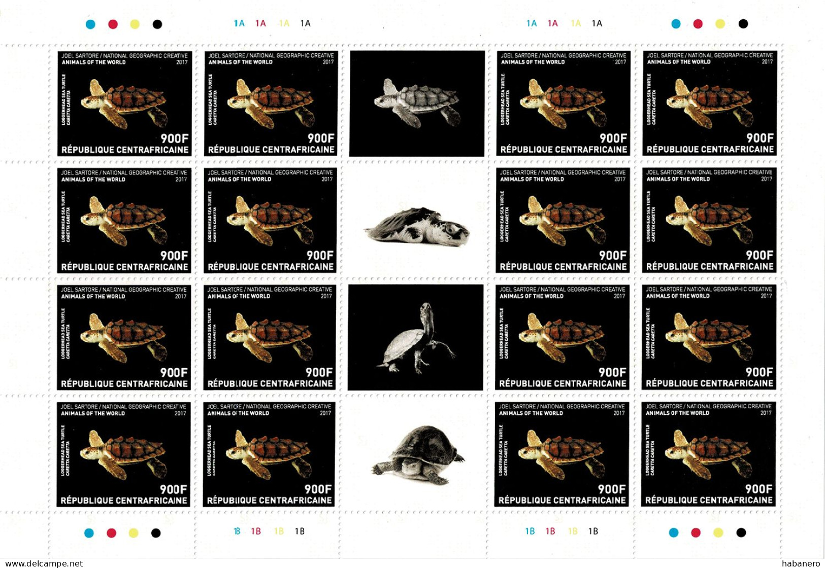 CENTRAL AFRICAN REP. 2017 Mi 7380-7383 NATIONAL GEOGRAPHIC TURTLES MINT FULL SHEETS ** VALUE €256 - Centrafricaine (République)