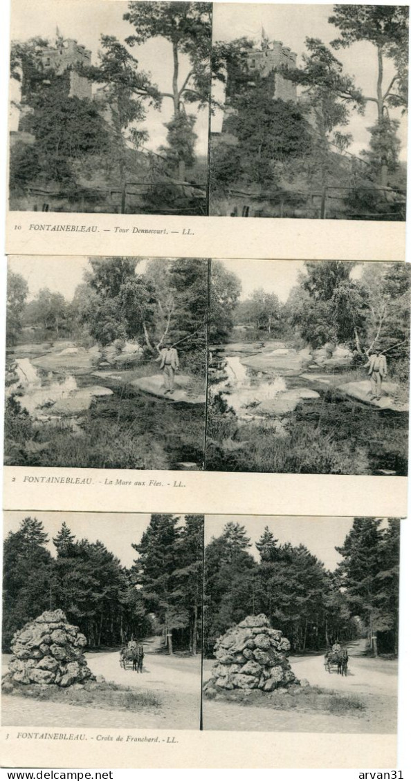 FONTAINEBLEAU - LOT De 10 CARTES STEREOSCOPIQUES ============> PORT GRATUIT - (BEAU DOS VERT) - - Stereoscope Cards