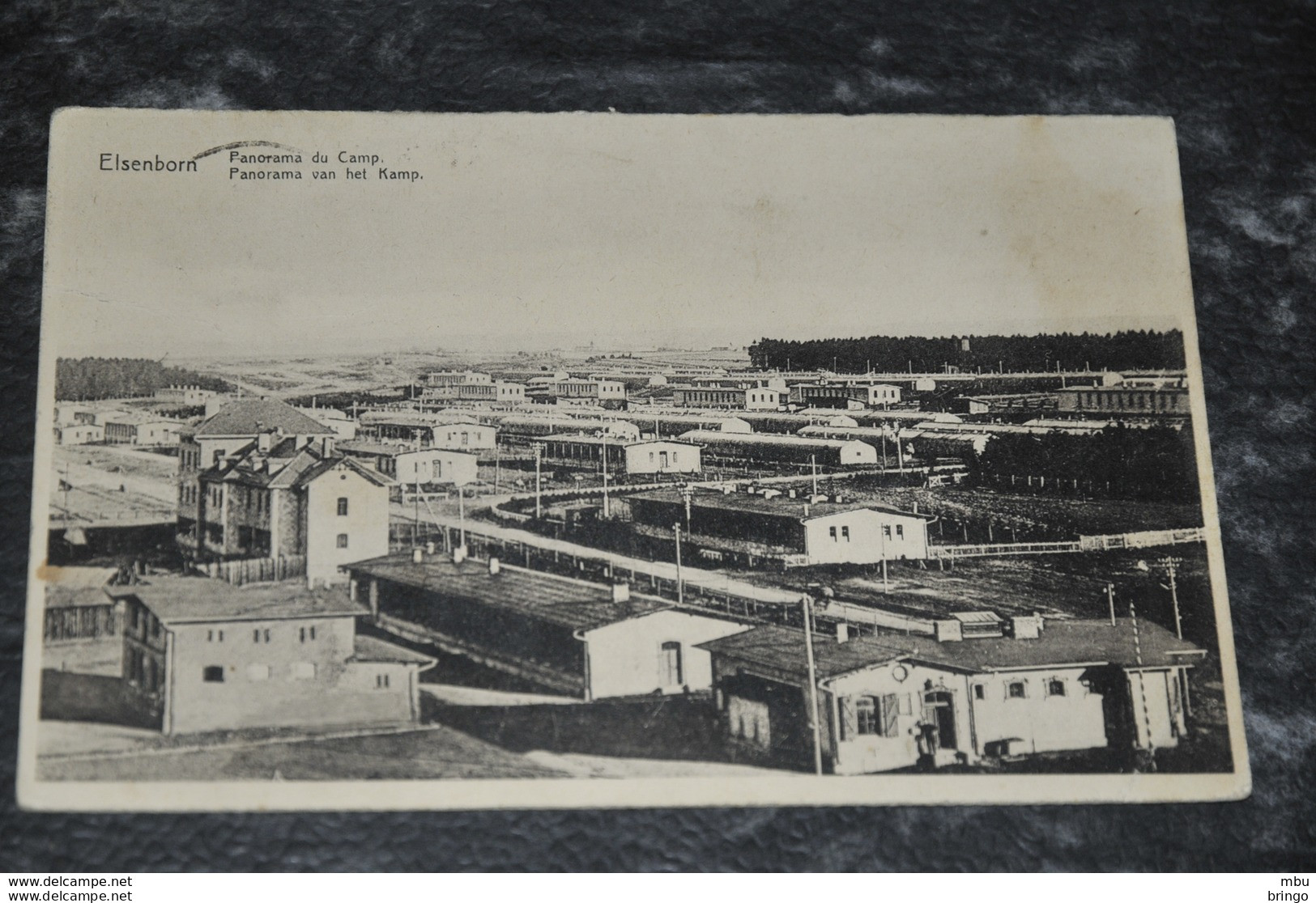 A580   ELSENBORN / CAMP / KAMP / PANORAMA - Elsenborn (camp)