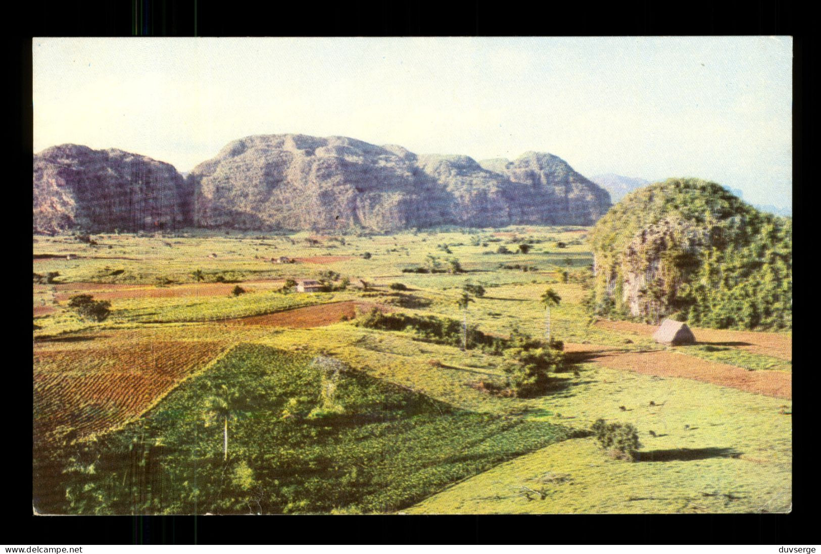 Cuba Valle De Vinales  ( Format çcm X 14cm ) - Cuba