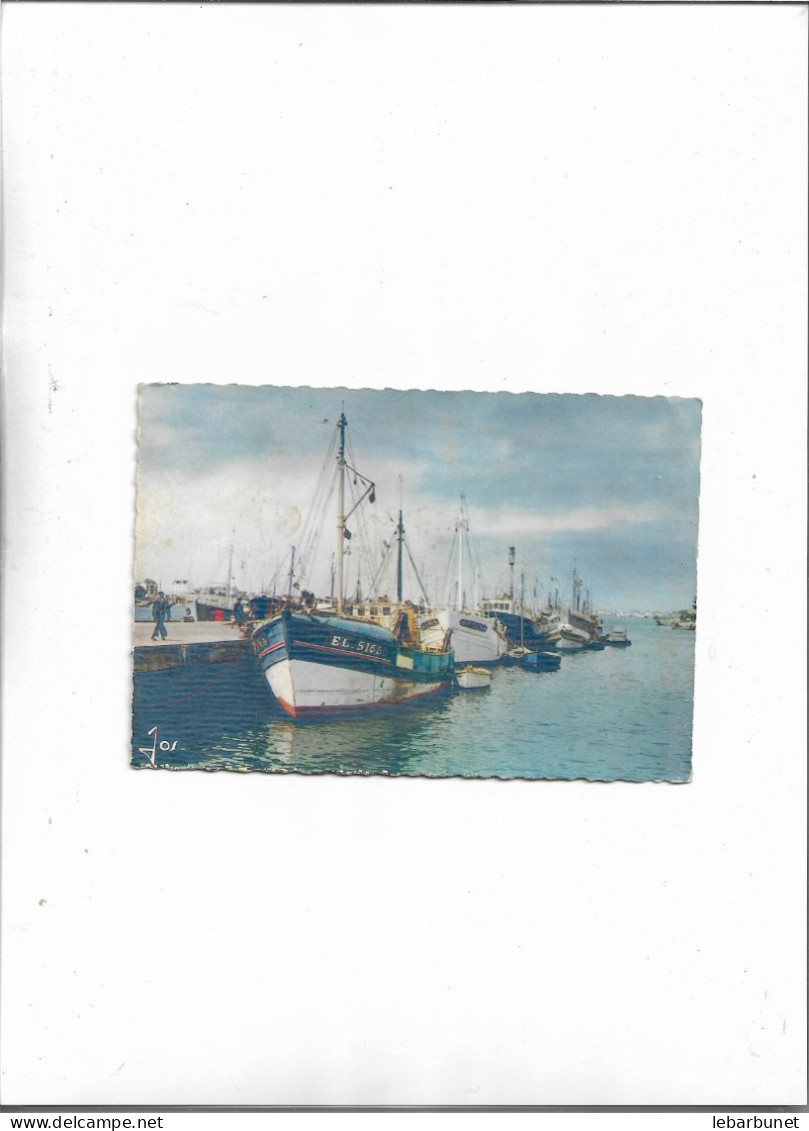 Carte Postale Années 60 Etel (56)  Bateaux Dans Le Port - Etel