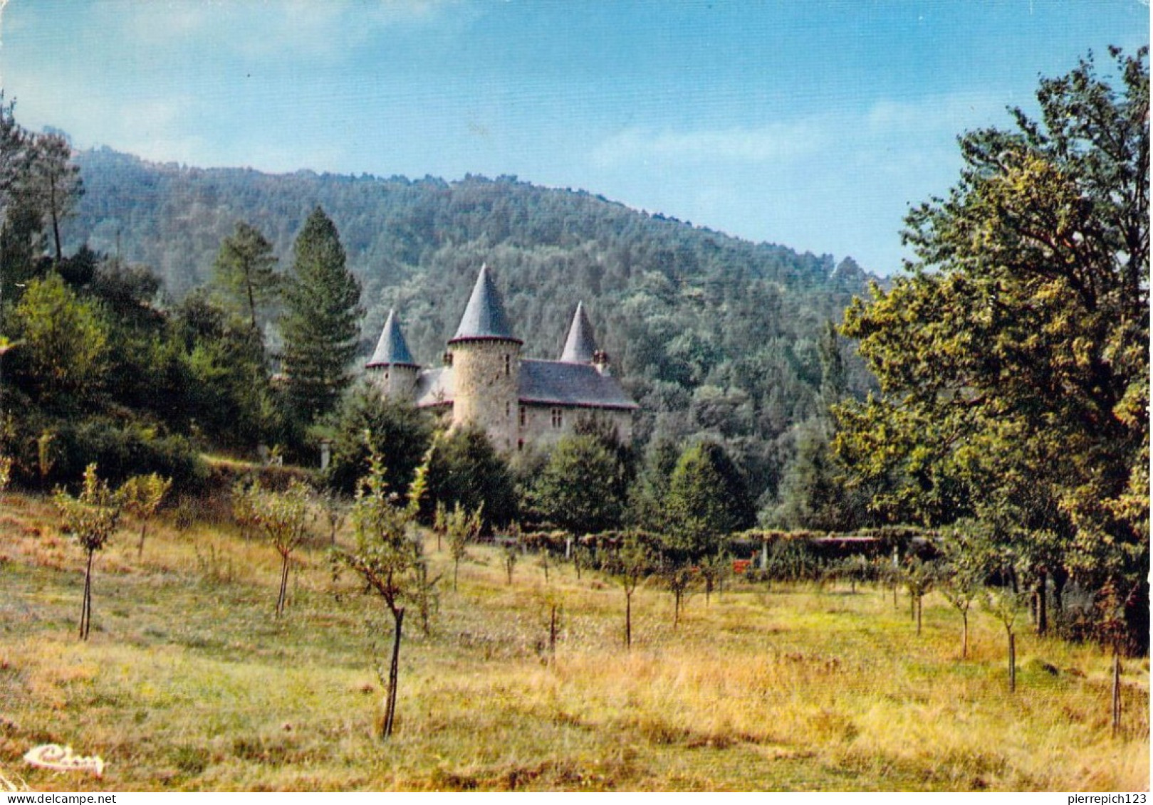 30 - Chamborigaud - Le Château De Montjoie - Chamborigaud
