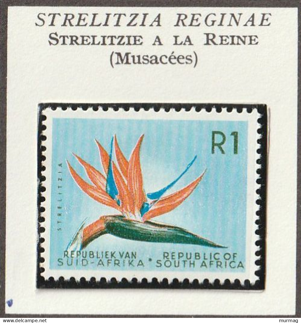 AFRIQUE DU SUD - Fleurs, Flowers, Strelitzia à La Reine  (Musacées) - 1961 - MNH - Unused Stamps