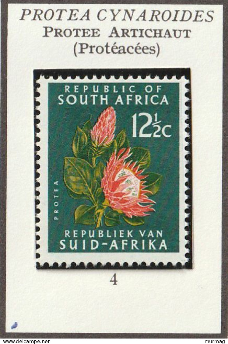 AFRIQUE DU SUD - Fleurs, Flowers, Protée Artichaut - 1961 - MNH - Ongebruikt