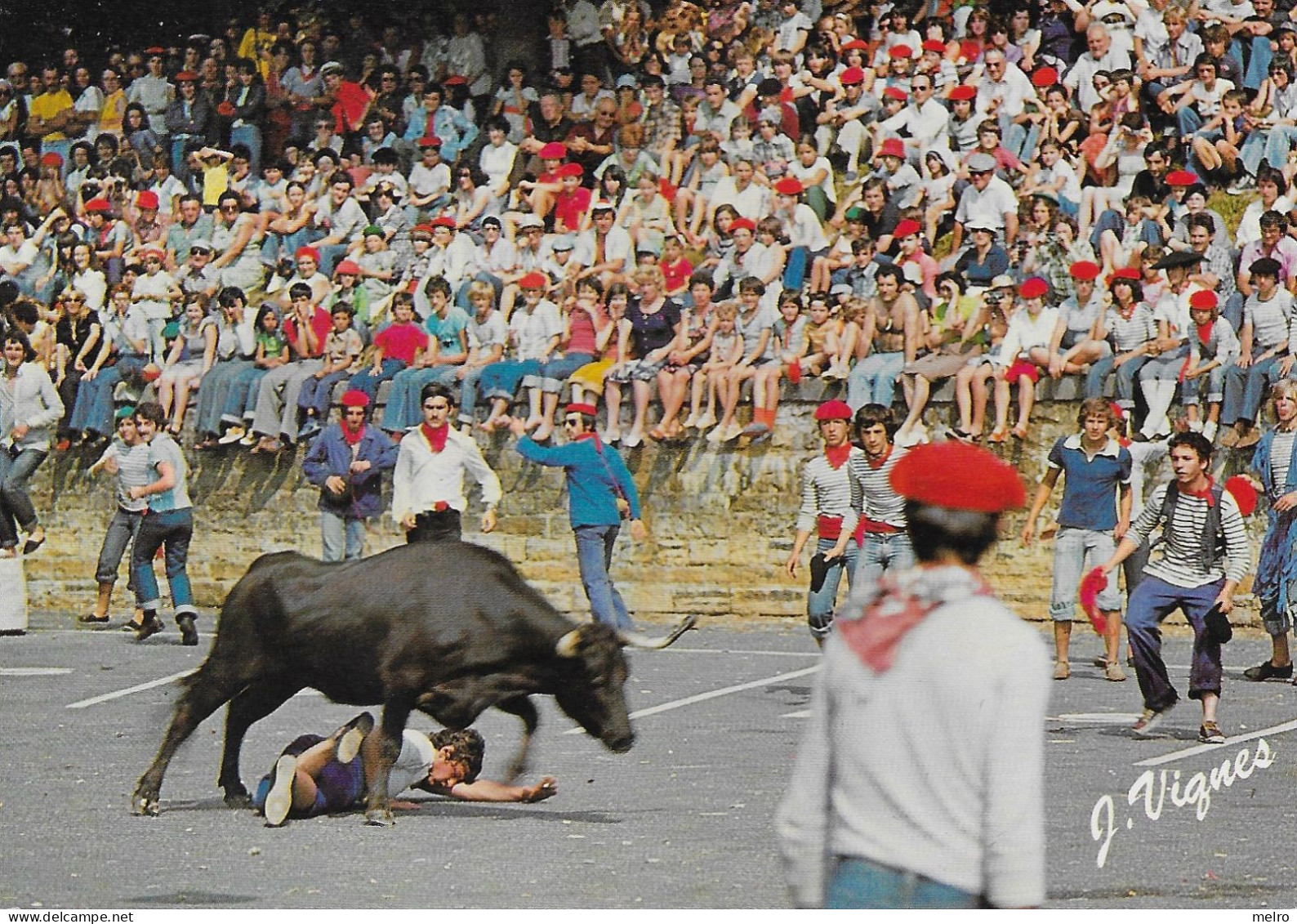 CPSM -  (40) Taureaux -"VISAGES DES LANDES" Quand Les Vaches Landaises Sont Lachées Dans Les Rues.1980 - Taureaux