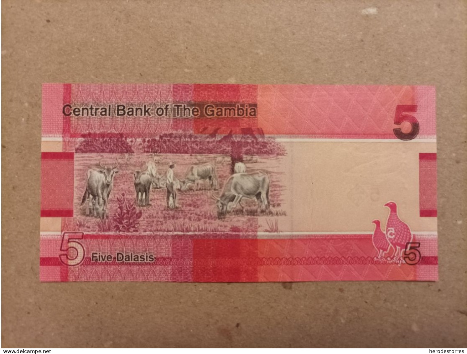 Billete De Gambia De 5 Dalasis Serie A, Nº Bajo, Año 2019, UNC - Gambia