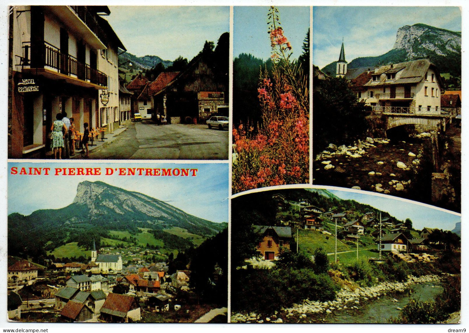 38 SAINT PIERRE D'ENTREMONT - Multivues - Saint-Pierre-d'Entremont