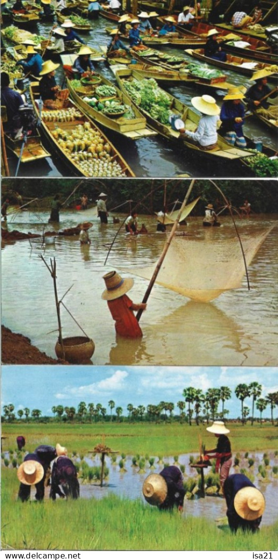 Lot De 10 Cartes Postales: THAÏLANDE: Floating Market, Rice, Farmer's Fish-fhishing, Chidren, Bangkok, Etc. - Thaïlande