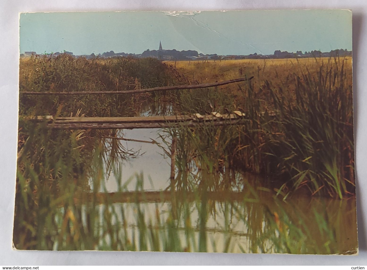 Saint MICHEL En L'HERM . 85 . Marais Avec Passerelle . Coin De Campagne A Reconnaitre En 1976 - Saint Michel En L'Herm