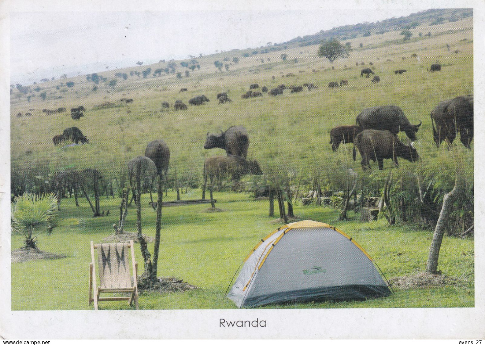 RWANDA-CAMPING FARM VIEW VIEW-USED POSTCARD --RWANDA POSTMARK- - Ruanda