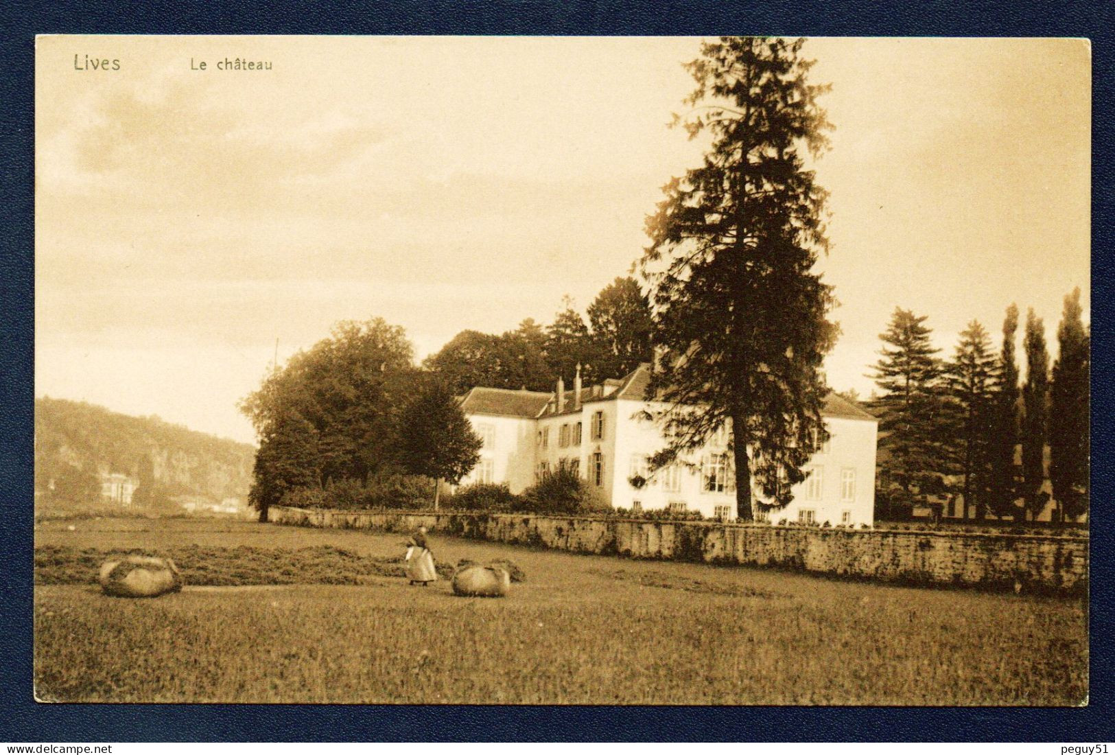 Lives Sur Mesuse ( Namur). Le Châeau Et Le Parc ( XIVème Siècle) - Namur