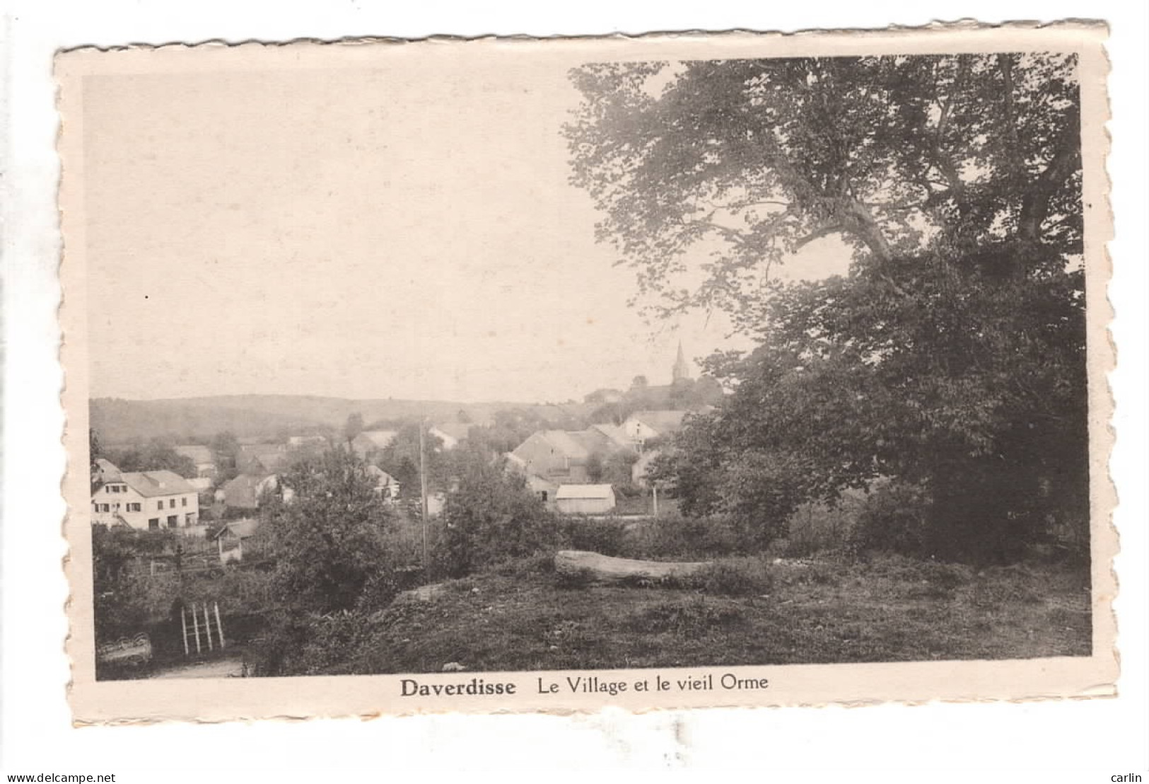 Daverdisse Le Village Et Le Vieil Orme - Daverdisse