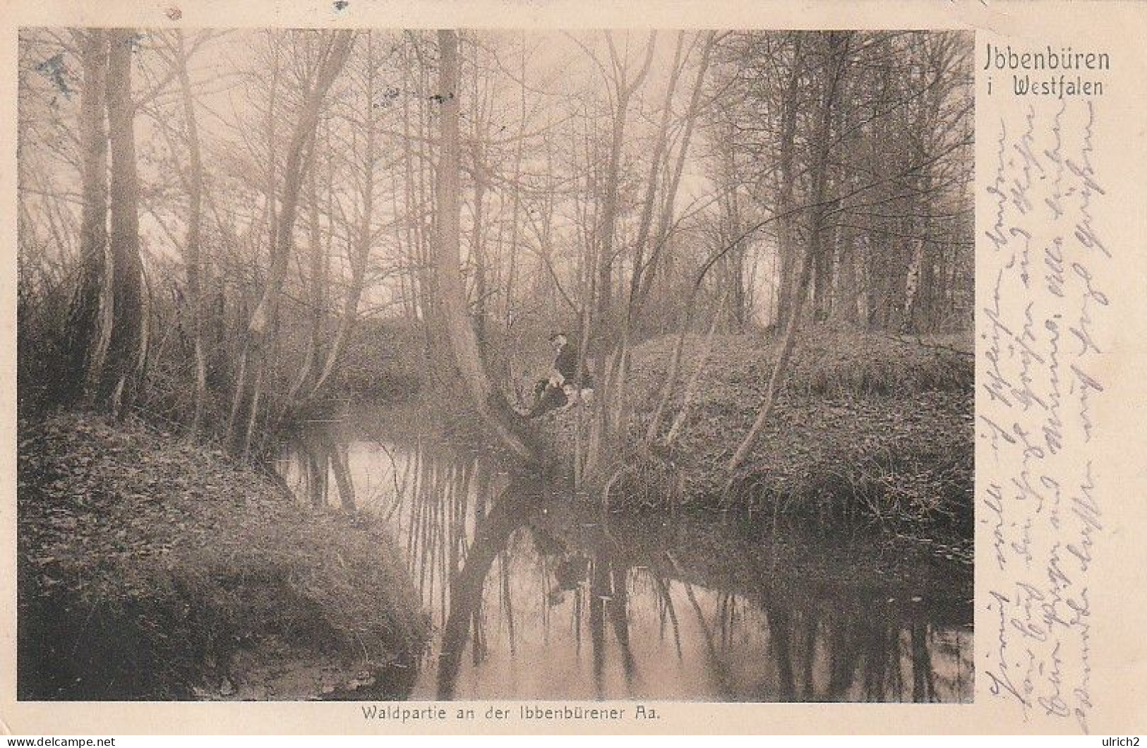 AK Ibbenbüren - Waldpartie An Der Ibbenbürener Aa - 1913 (65519) - Ibbenbueren