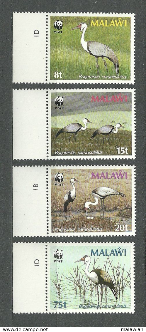 Malawi, 1987 (#477-80a), WWF, Birds, Cranes, Aves, Oiseaux, Uccelli, Vogel, Pássaros, Ptaki - 4v With Color Proof Margin - Grues Et Gruiformes