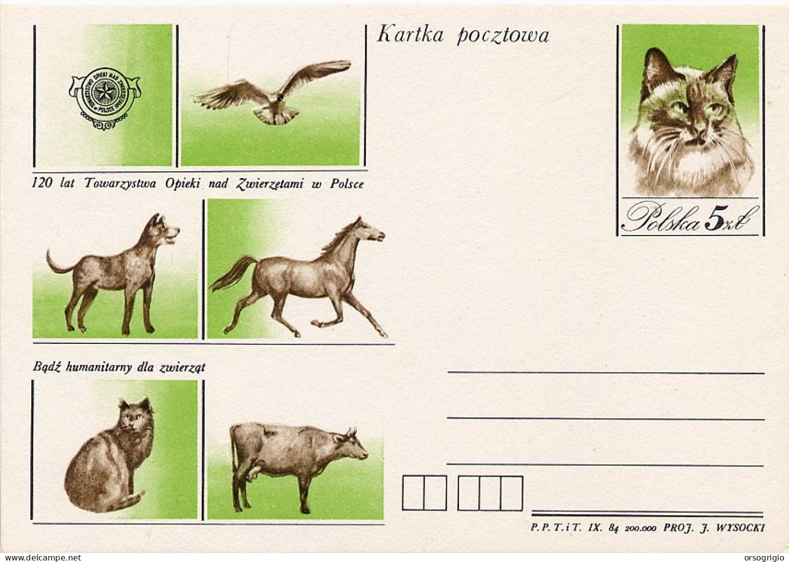 POLONIA POLSKA -  Cartolina Intero Postale -  CAT - HORSE - COW - DOG - Chats Domestiques