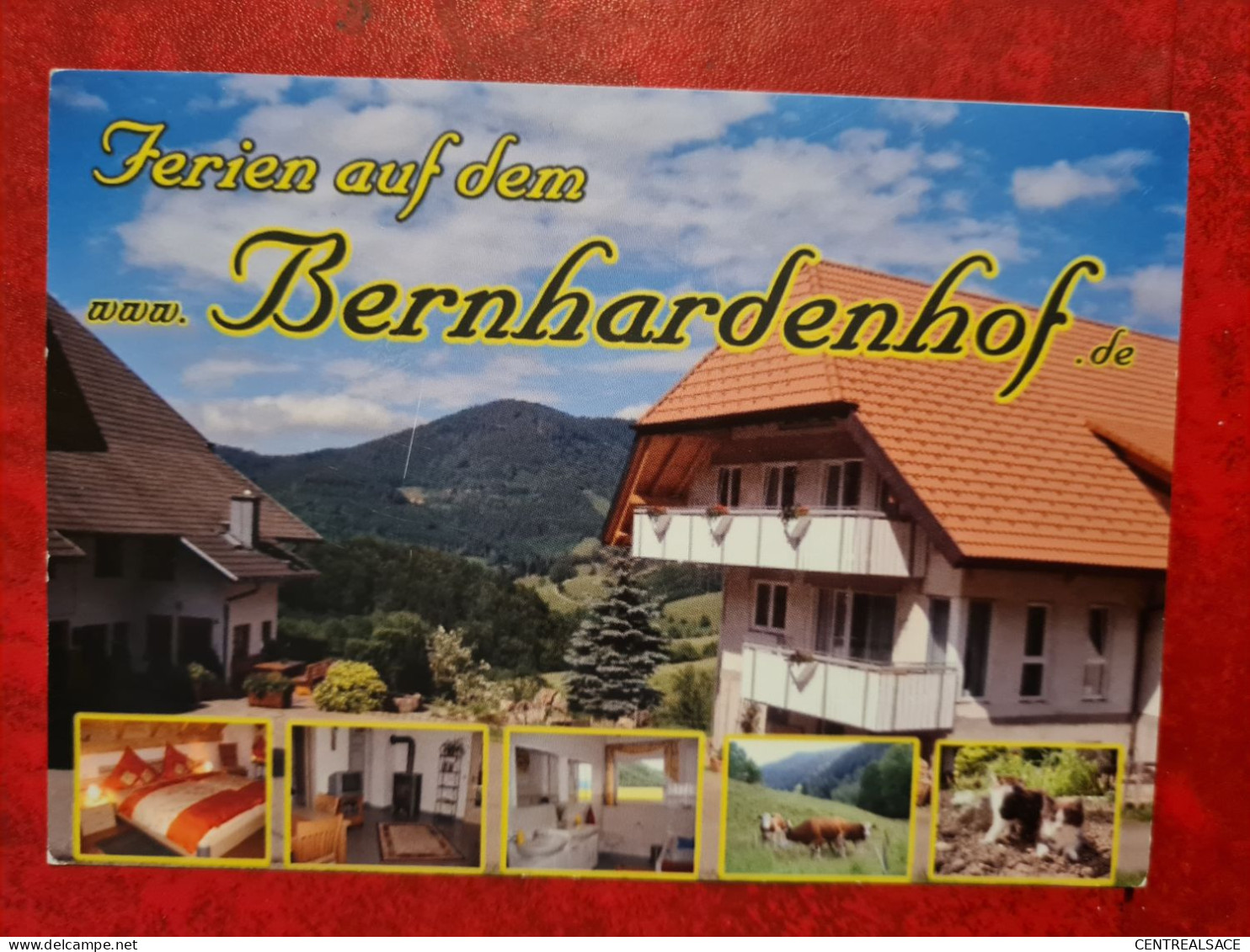 Carte FERIEN AUF DEM BERNHARDENHOF ELZACH YACH - Elzach