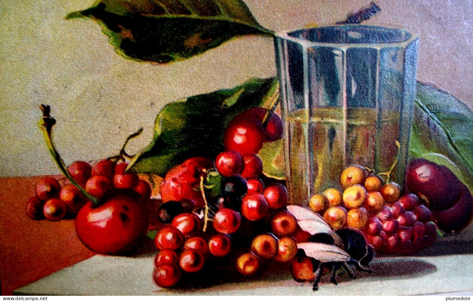 Cpa Gaufrée NATURE MORTE AUX FRUITS ROUGES ET MOUCHE . 1911 .  STILL LIFE WITH A FLY  EMBOSSED OLD PC - Plantes Médicinales