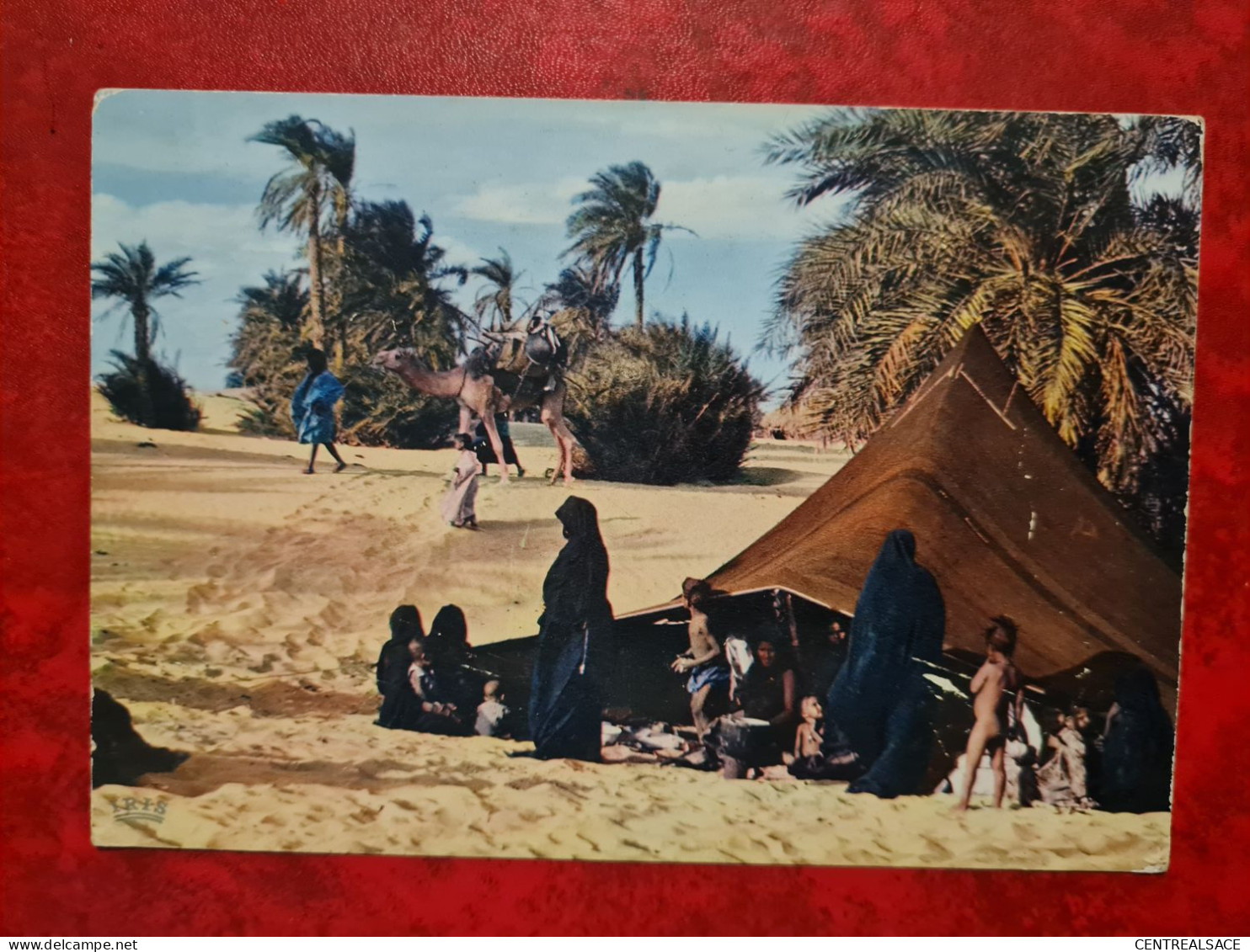 Carte MAURITANIE REPUBLIQUE ISLAMIQUE LA VIE SOUS LA TENTE - Mauritanie