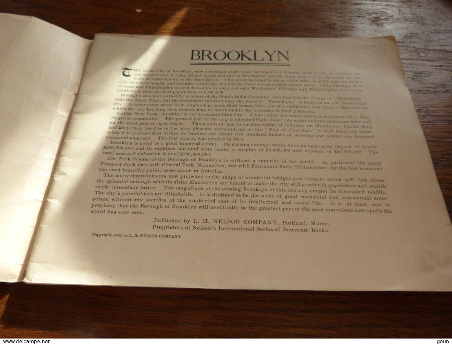 Views Of Brooklyn Nelson Company 1905 24 Pages 47 Grandes Vues - Bel état Petites Usures Sur La Couverture - United States