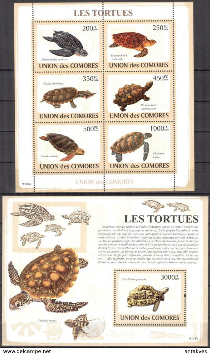 Comoros 2009 Turtles Sheet + S/S MNH - Comores (1975-...)