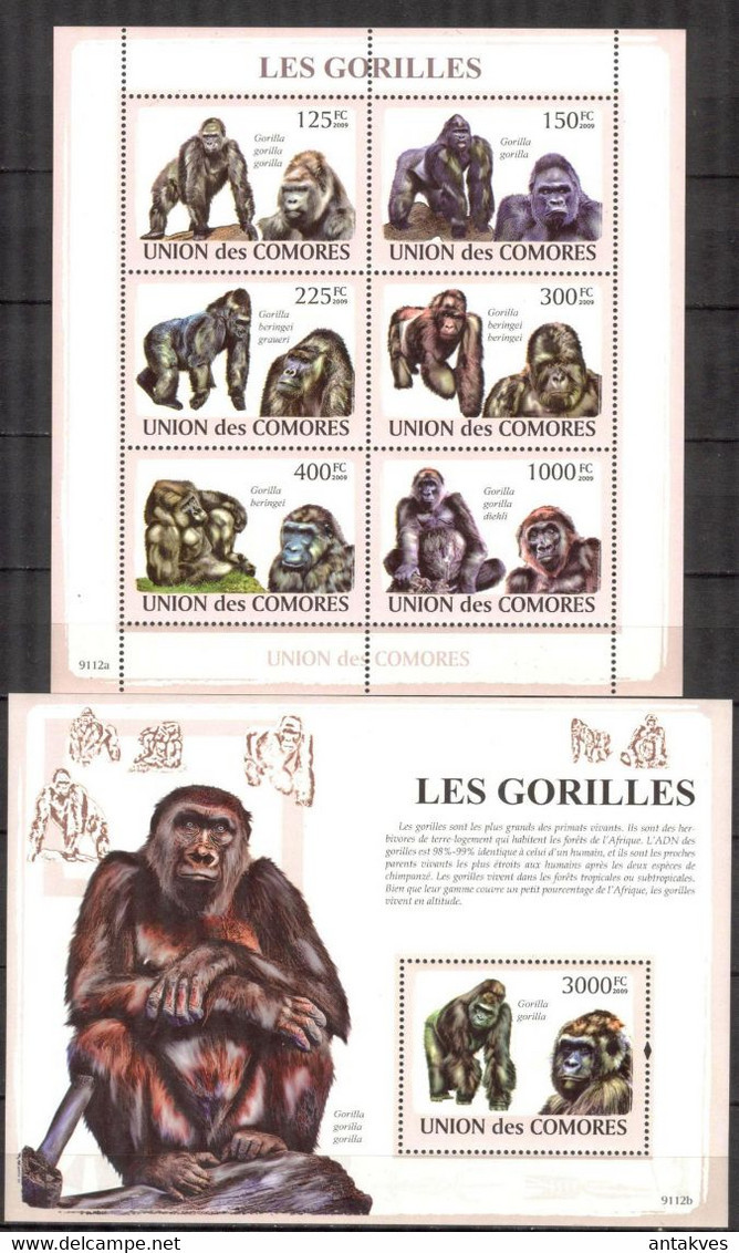 Comoros 2009 Monkeys Gorillas Sheet + S/S MNH - Comores (1975-...)