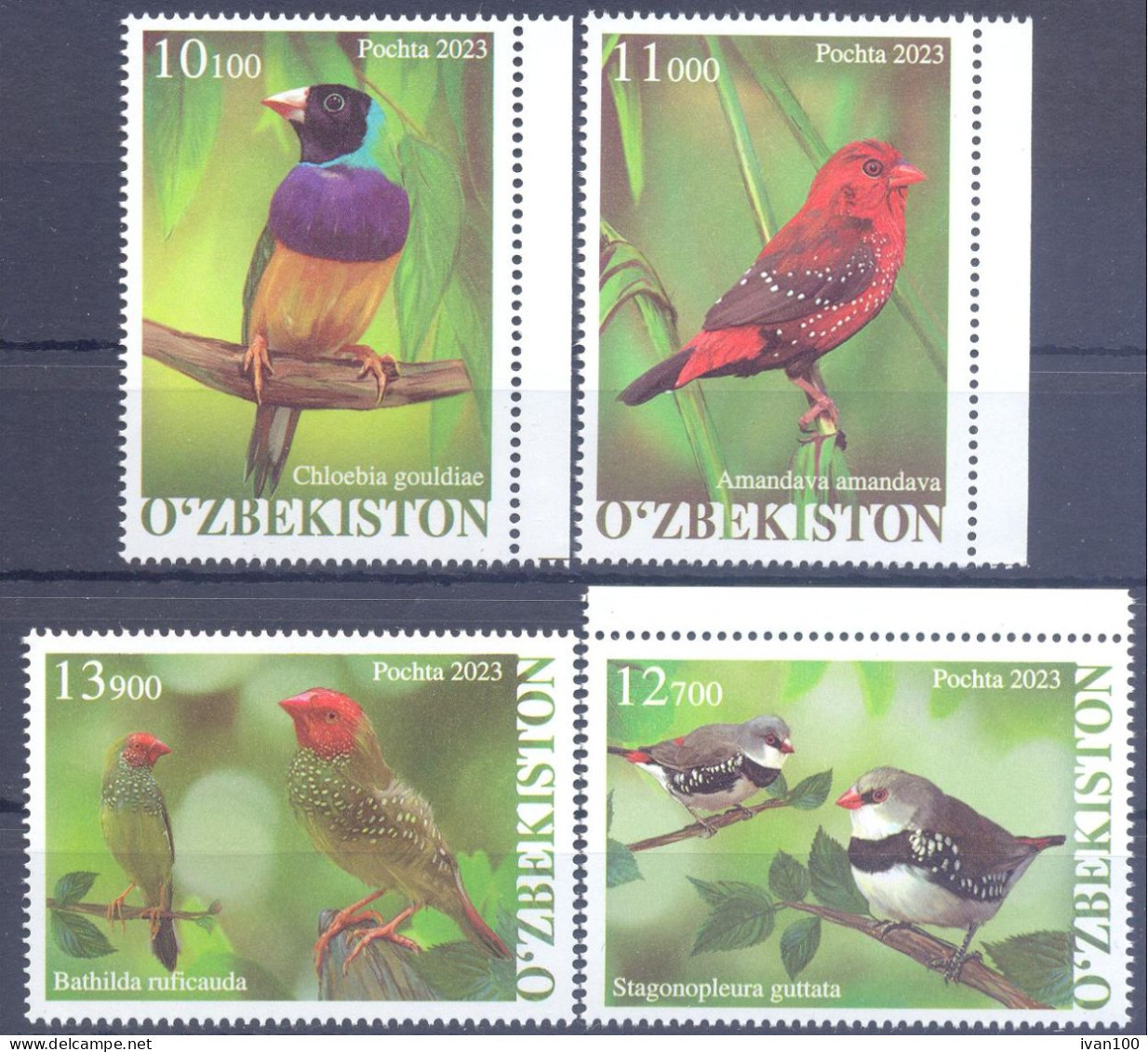2023. Uzbekistan, Birds Of Uzbekistan, 4v, Mint/** - Ouzbékistan