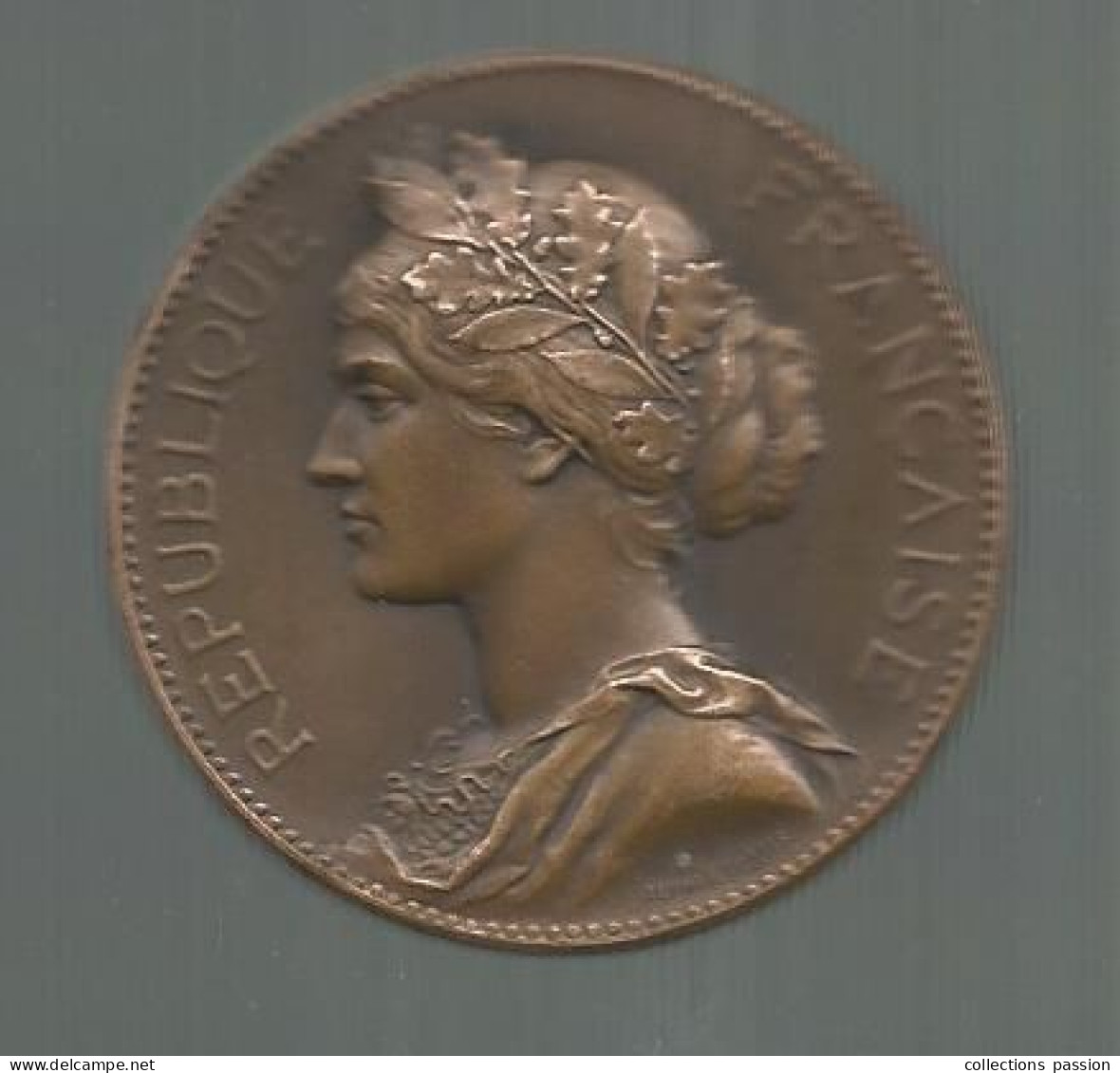 Médaille, Bronze, Signée H. Dubois, 49.6 Gr. ,  Offert Par M. R. Duplantier, Sénateur De La Vienne, Frais Fr 3.35 E - Professionnels / De Société