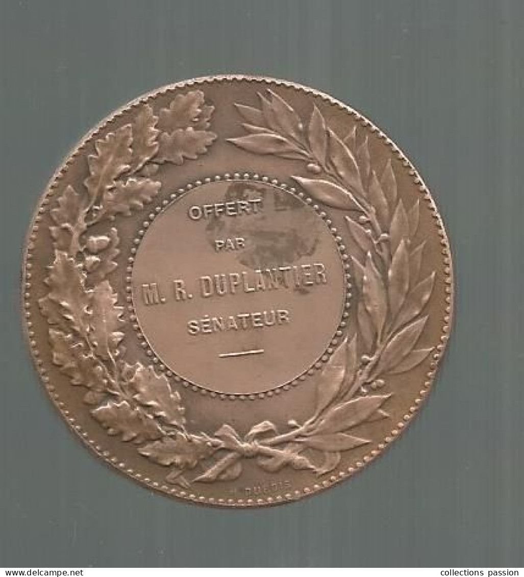 Médaille, Bronze, Signée H. Dubois, 49.6 Gr. ,  Offert Par M. R. Duplantier, Sénateur De La Vienne, Frais Fr 3.35 E - Profesionales / De Sociedad