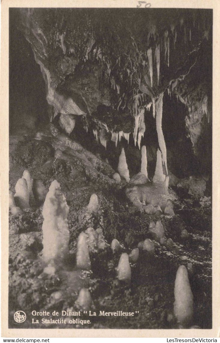 BELGIQUE - Grotte De Dinant "La Merveilleuse" - La Stalactite Oblique - Carte Postale Ancienne - Dinant