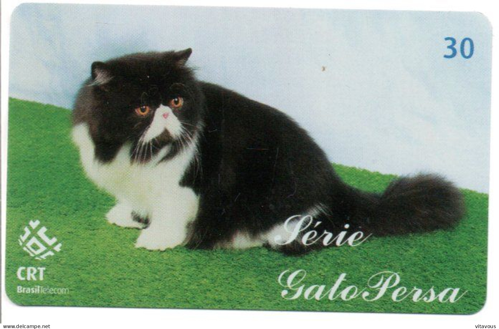 Chat Persan Cat Katze Télécarte Brésil Phonecard ( 1147) - Brasilien