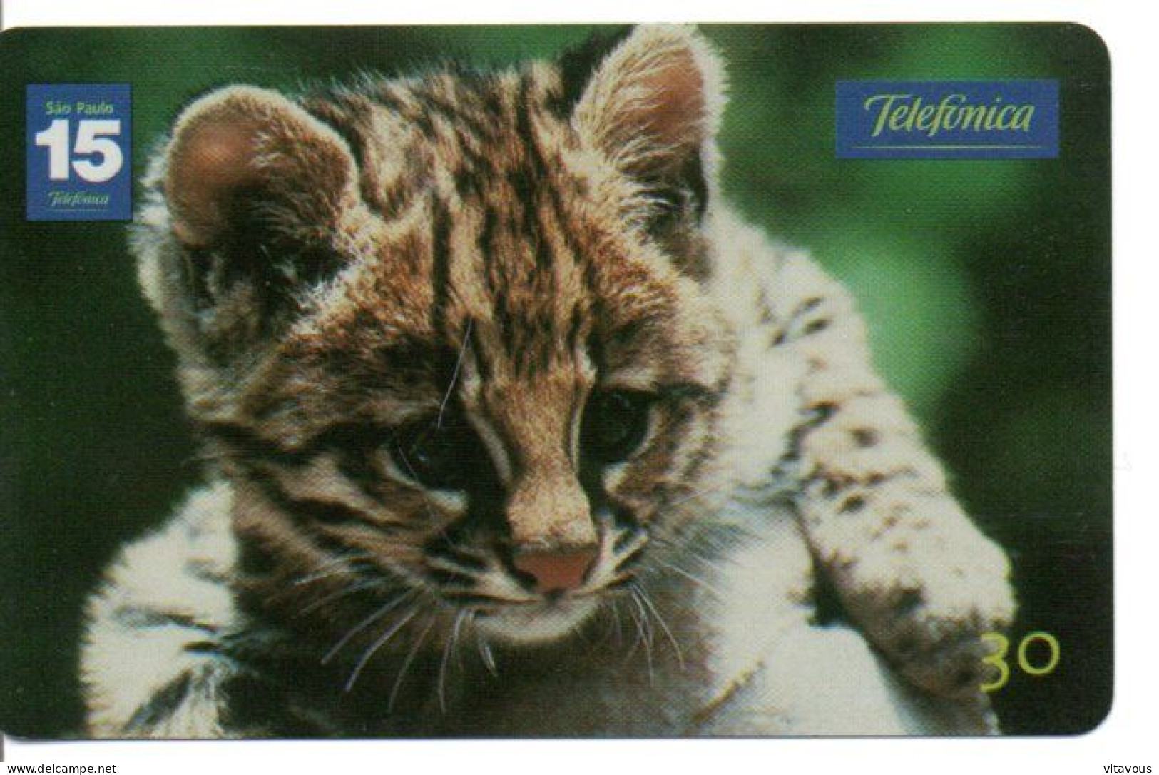 Léopard Chat Cat Katze Télécarte Brésil Phonecard ( 1149) - Brasilien
