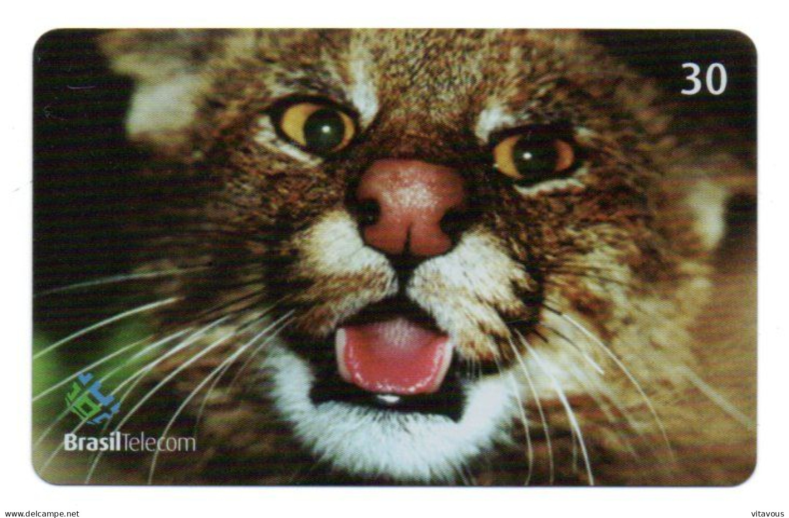 Chat Cat Katze Télécarte Brésil Phonecard ( 1152) - Brasilien