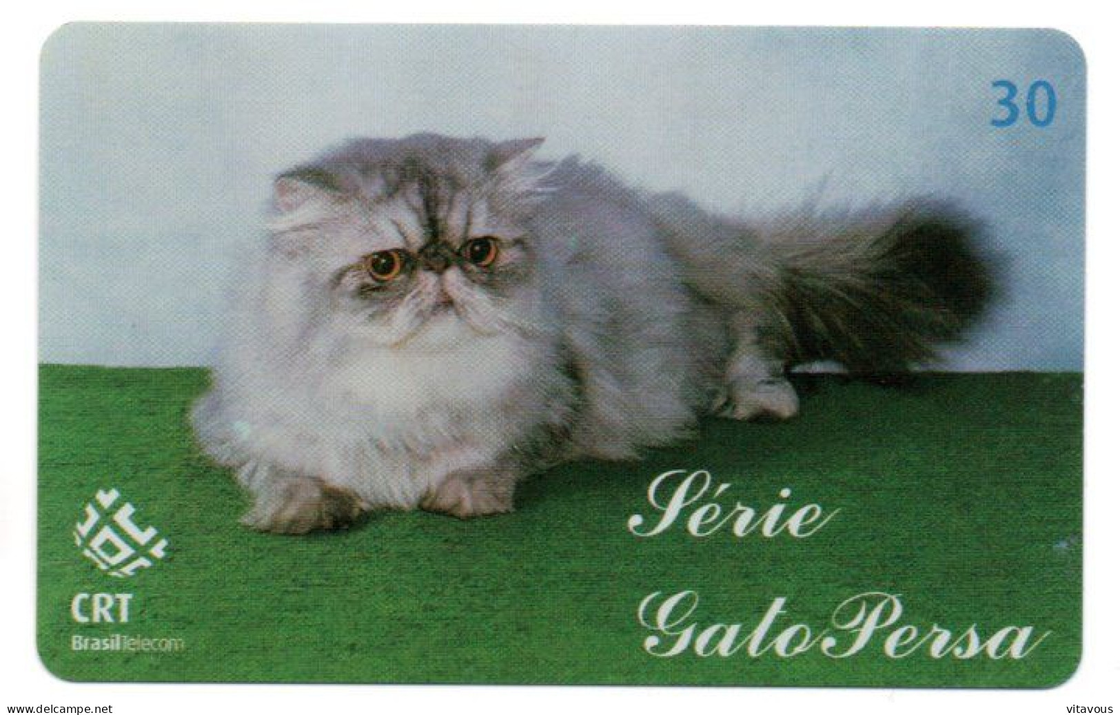 Chat Cat Katze Télécarte Brésil Phonecard ( 1153) - Brasilien