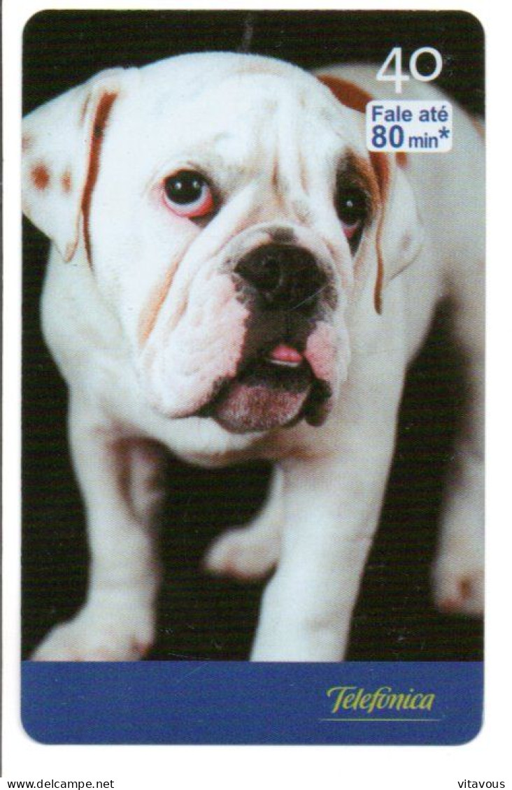 Chien Bulldogue  Dog  Télécarte Brésil Phonecard ( 1159) - Brasilien