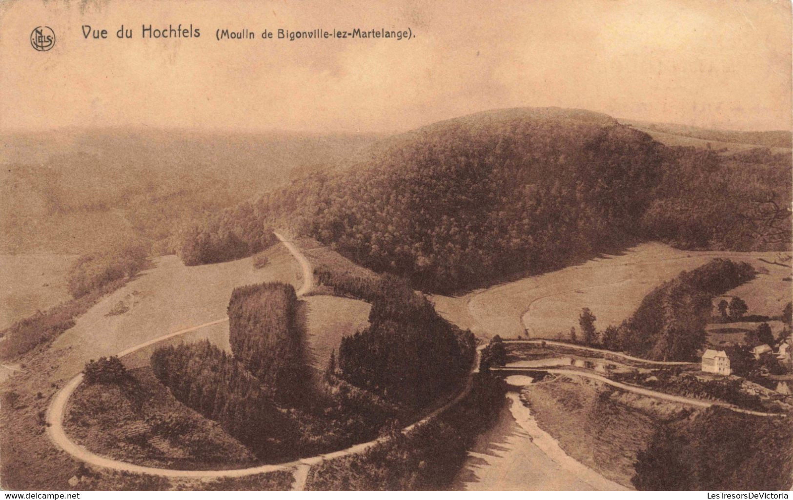 BELGIQUE - Vue Du Hochfels (Moulin De Bigonville Lez Martelange) - Carte Postale Ancienne - Martelange