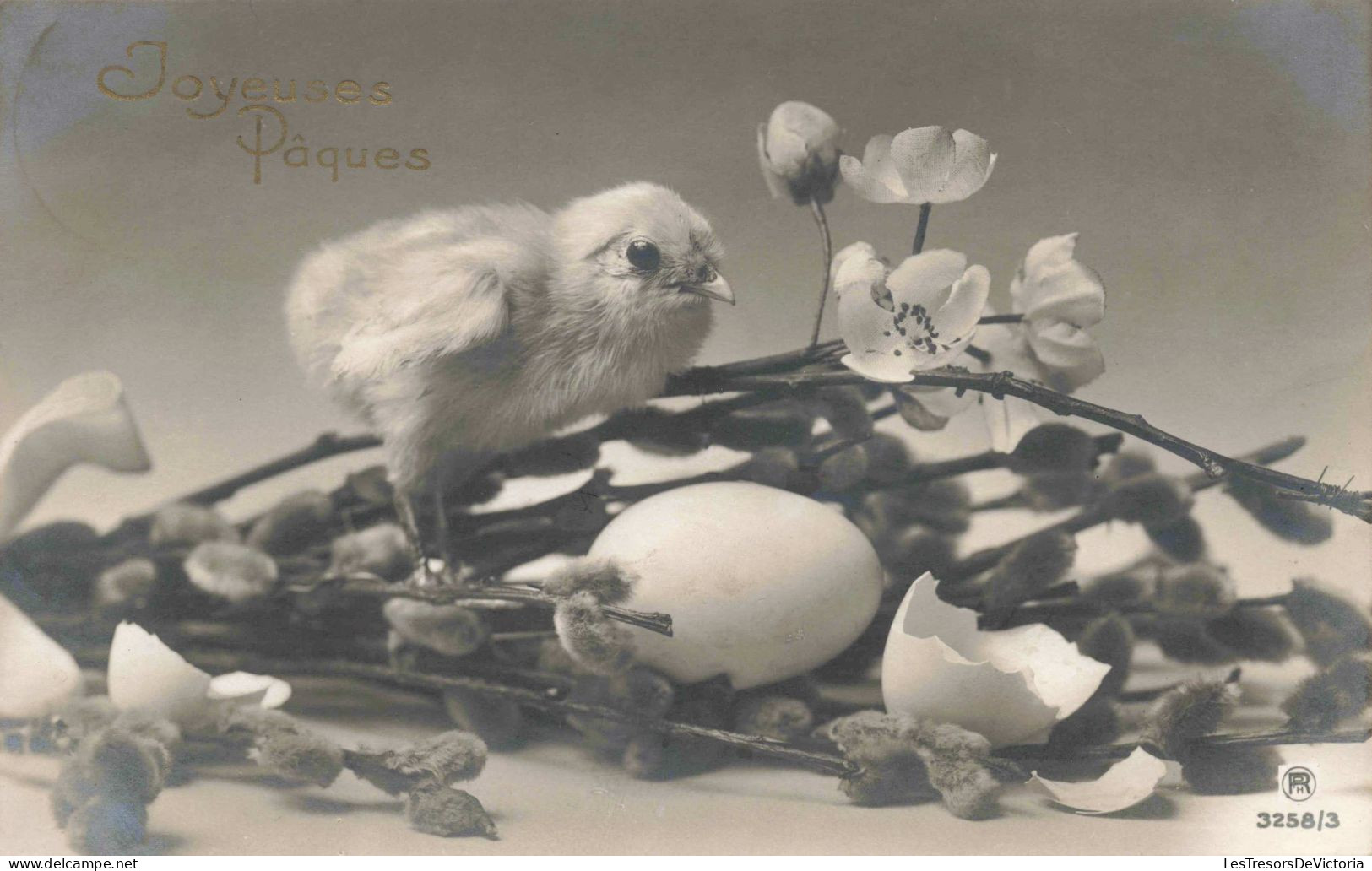 FÊTES ET VOEUX - Pâques - Un Poussin Sorti D'un œuf  Sur Un Bouquet De Fleur - Carte Postale Ancienne - Pâques