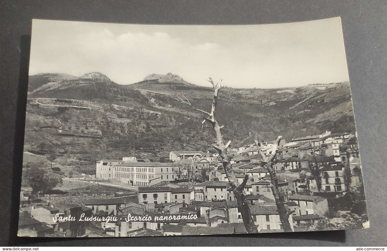 Cartolina Santu Lussurgiu - Scorcio Panoramico                                                                           - Oristano