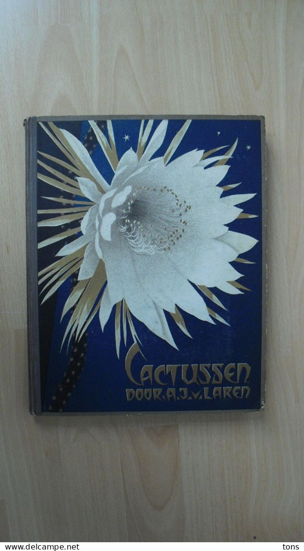 Cactussen, Verkade's Plaatjesalbum 1931 - Anciens